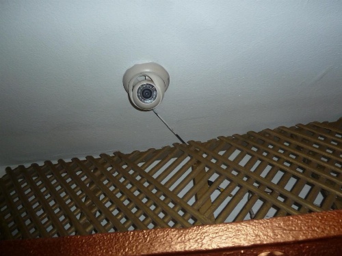 Venus Hostel image 27